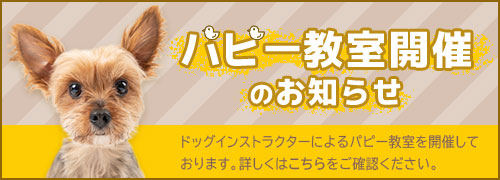 パピー教室開催のお知らせ
